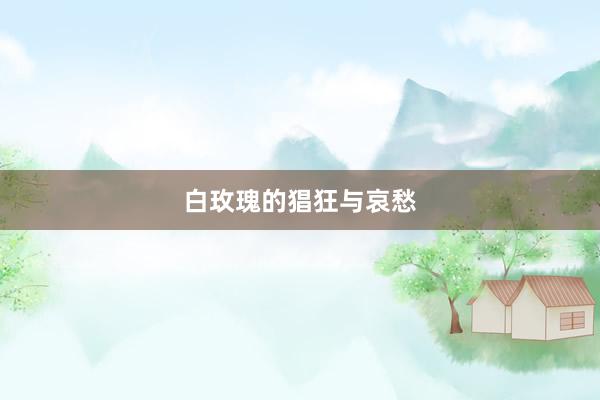白玫瑰的猖狂与哀愁