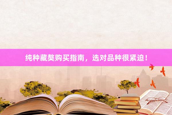 纯种藏獒购买指南，选对品种很紧迫！